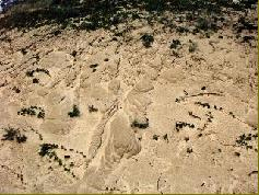 Watererosie op de noordhelling. Watererosie treedt op als gevolg van hydrofobie (waterafstotendheid) van het bodemoppervlak, en komt vaak voor in de zomer na hevige regenbuien.
