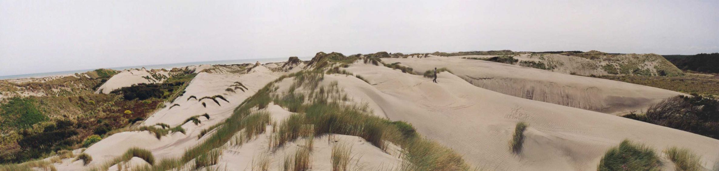 Een actief paraboolduin bij Manawatu, Noordeiland, Nieuw-Zeeland 